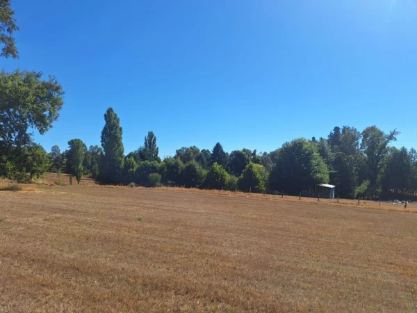 séptima faja hermosas parcelas a 20 min de villarrica desde $28.000.000