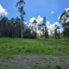 fundo ancahual villarrica loncoche fundo ancahual villarrica loncoche