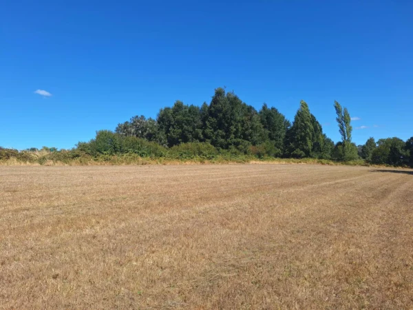 séptima faja hermosas parcelas a 20 min de villarrica desde $28.000.000