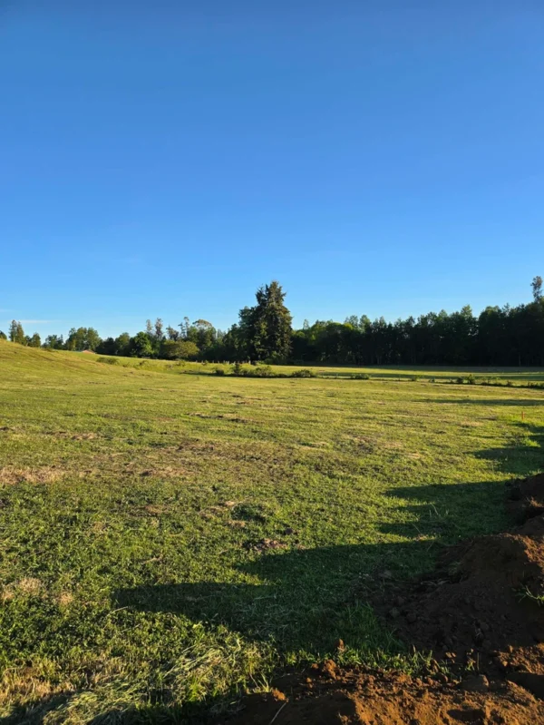la comarca a solo 10 km de villarrica desde $39.990.000