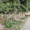 parcelas en relún a 15 km de villarrica