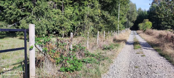 parcelas en relún a 15 km de villarrica