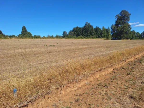 séptima faja hermosas parcelas a 20 min de villarrica desde $28.000.000