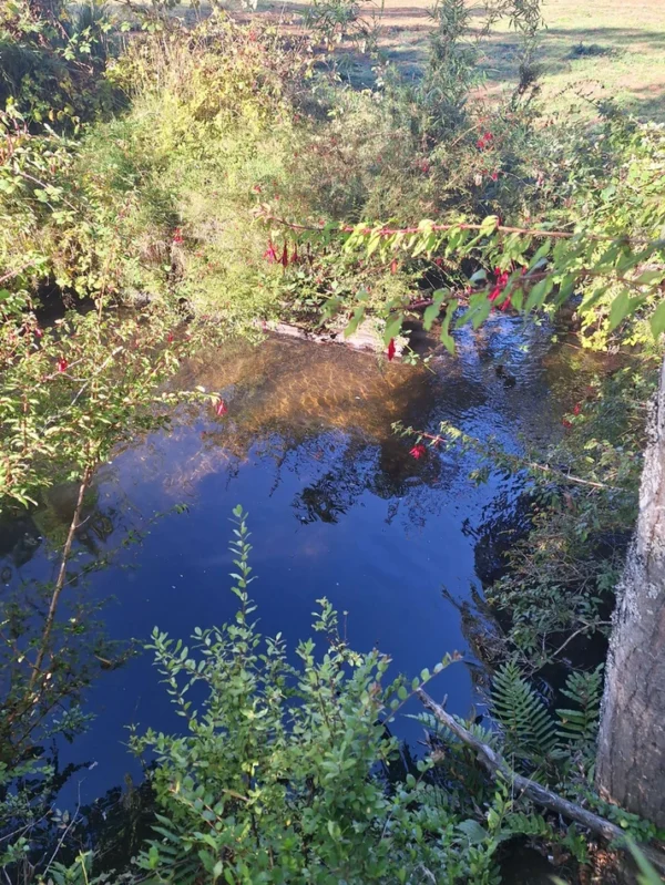 rinconada a solo 15 min de villarrica