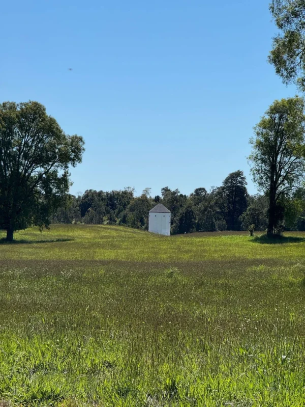 los molinos puerto octay