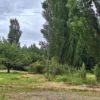 aires de paillaco $23.990.000 aires de paillaco $23.990.000
