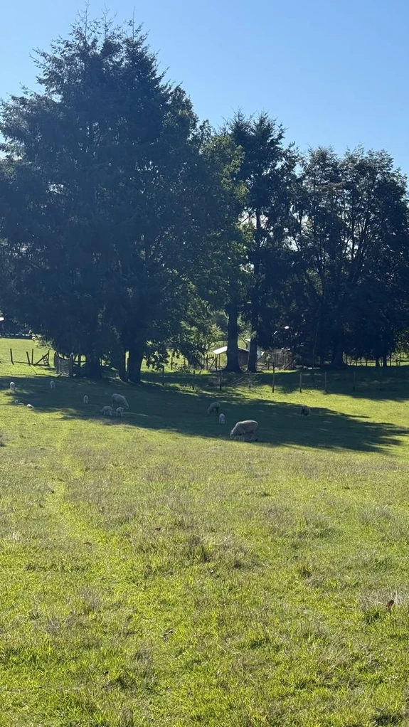 cumbres de pucón $29.990.000