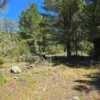parcelas a minutos del lago calafquén $30.000.000 parcelas a minutos del lago calafquén $30.000.000