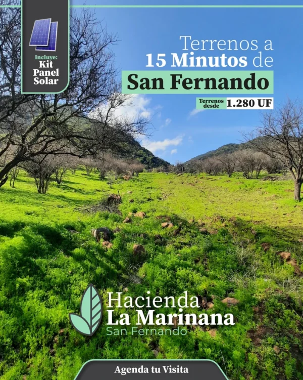 los molinos puerto octay (copia)