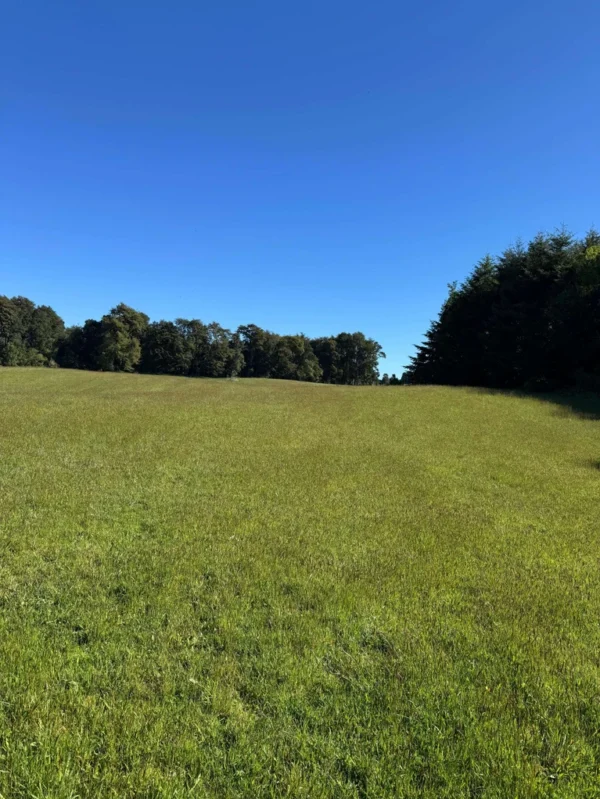 los molinos puerto octay