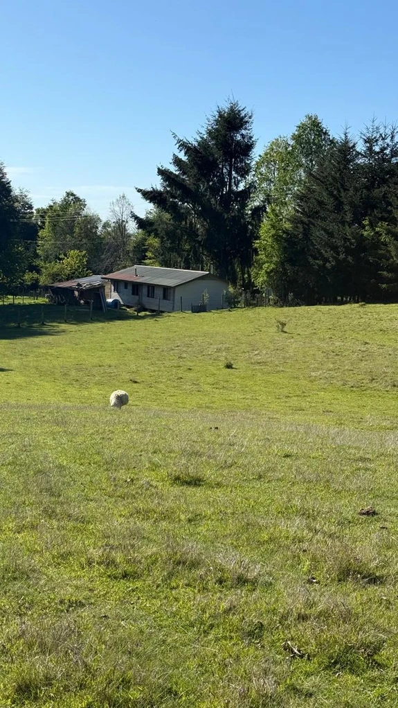 cumbres de pucón $29.990.000