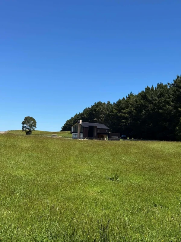 los molinos puerto octay