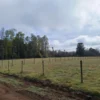 a 20 min de villarrica parcelas con luz, agua y cercadas a 20 min de villarrica parcelas con luz, agua y cercadas