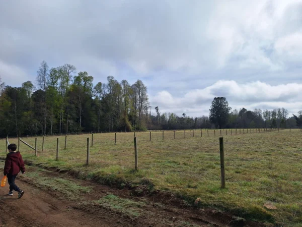 a 20 min de villarrica parcelas con luz, agua y cercadas