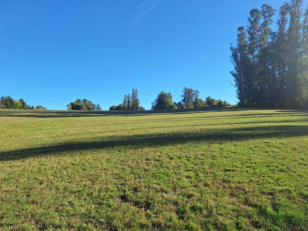 rinconada a solo 15 min de villarrica