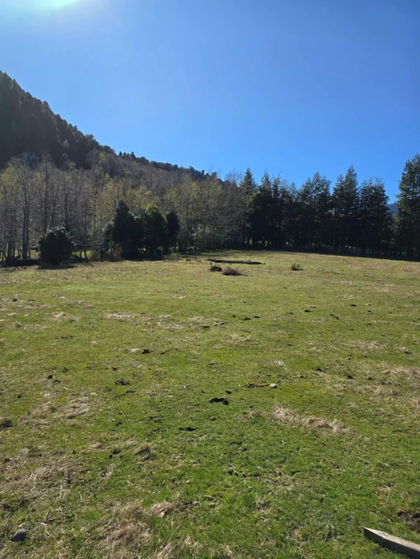 parcelas pino huacho lican ray