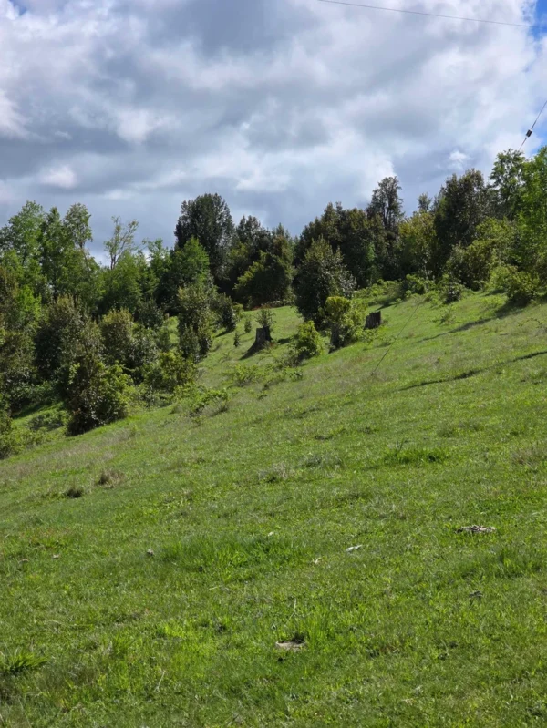 a 20 min de licanray parcelas de 1 hectárea con estero