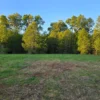 raíces de relún a 15 km de villarrica