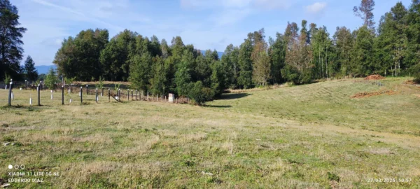 parcelas en relún a 15 km de villarrica