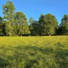 la comarca a solo 10 km de villarrica desde $39.990.000