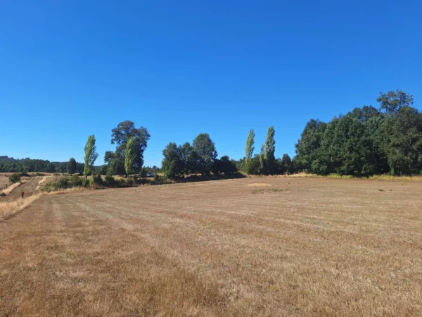 séptima faja hermosas parcelas a 20 min de villarrica desde $28.000.000