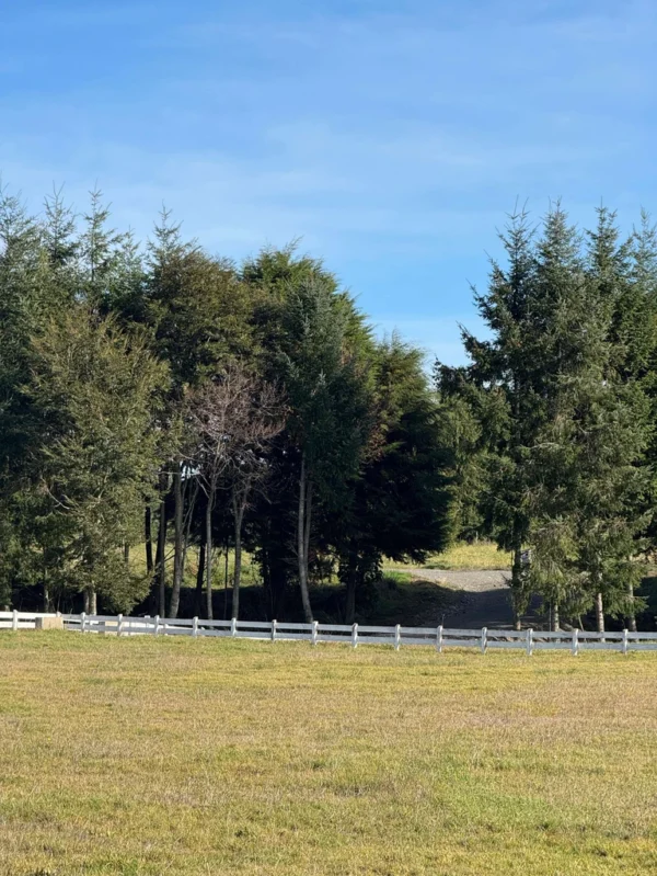 los molinos puerto octay