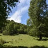 la comarca a solo 10 km de villarrica desde $39.990.000