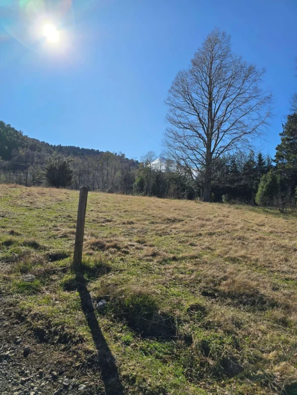 parcelas pino huacho lican ray