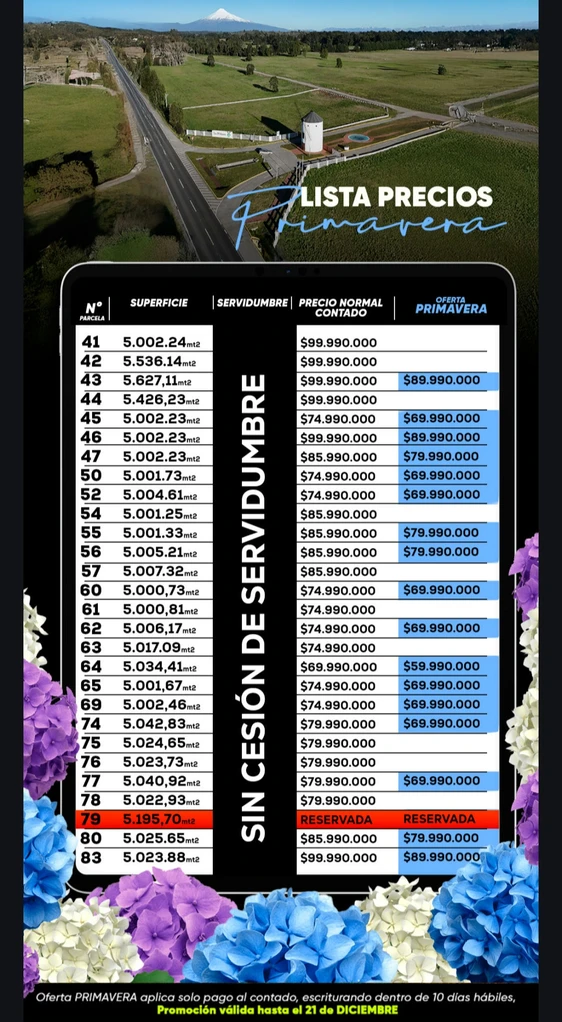 los molinos puerto octay