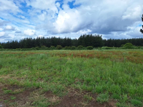 Refugio Huellanto sexta faja desde Gorbea - Villarrica refugio huellanto sexta faja desde $19.990.000