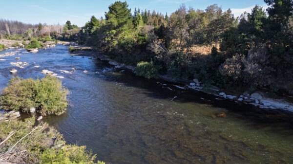 fundo del itata Últimas 2 parcelas