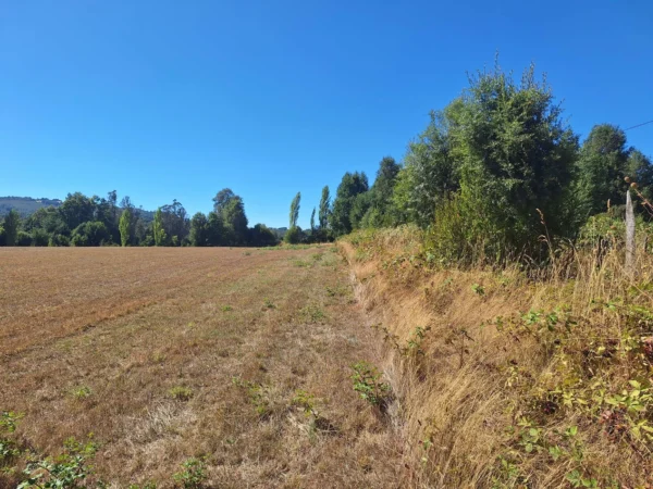 séptima faja hermosas parcelas a 20 min de villarrica desde $28.000.000