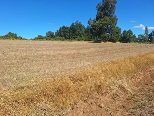 séptima faja hermosas parcelas a 20 min de villarrica desde $28.000.000