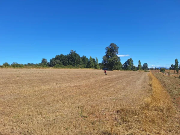 séptima faja hermosas parcelas a 20 min de villarrica desde $28.000.000