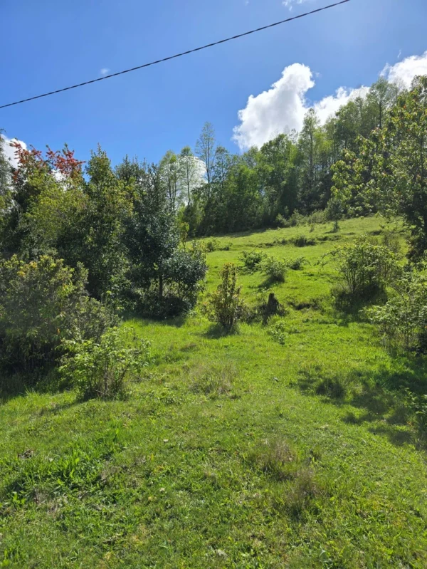 a 20 min de licanray parcelas de 1 hectárea con estero