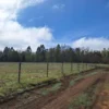 a 20 min de villarrica parcelas con luz, agua y cercadas a 20 min de villarrica parcelas con luz, agua y cercadas