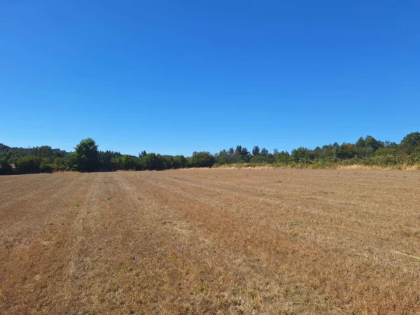 séptima faja hermosas parcelas a 20 min de villarrica desde $28.000.000