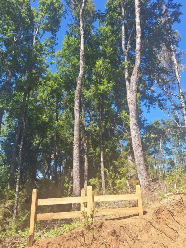 a solo 15 min de villarrica $38.000.000 crédito directo