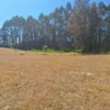 parque nativo sector huaqui $30.000.000 opción de crédito directo parque nativo sector huaqui $30.000.000 opción de crédito directo