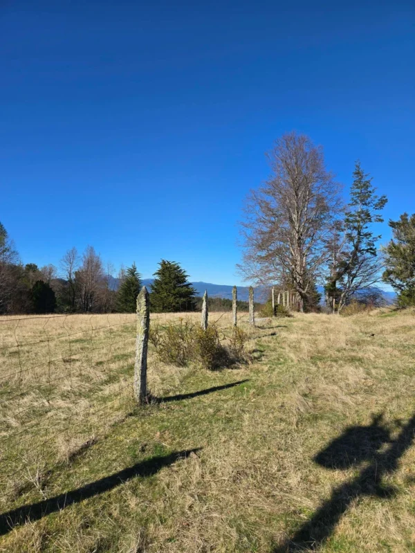 parcelas pino huacho lican ray