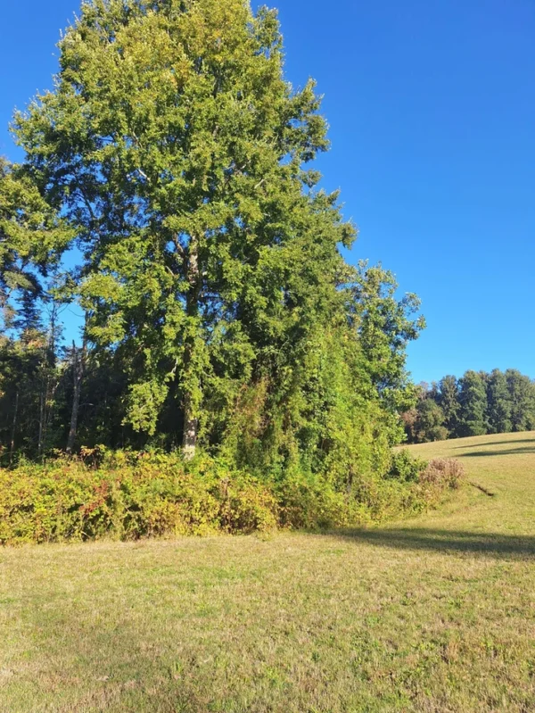 rinconada a solo 15 min de villarrica