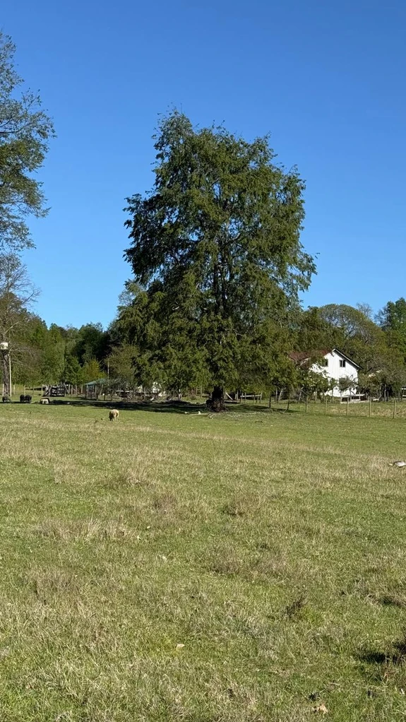 cumbres de pucón $29.990.000