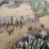 raíces de relún a 15 km de villarrica