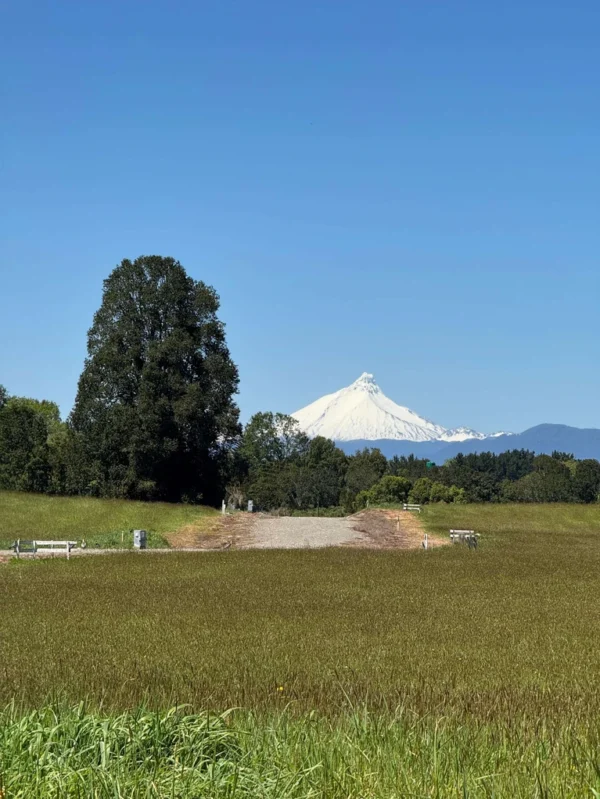 los molinos puerto octay