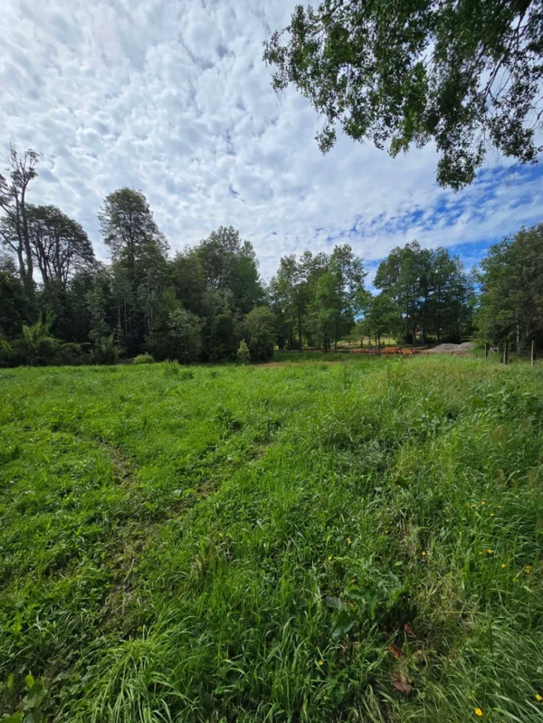 rinconada a solo 15 min de villarrica