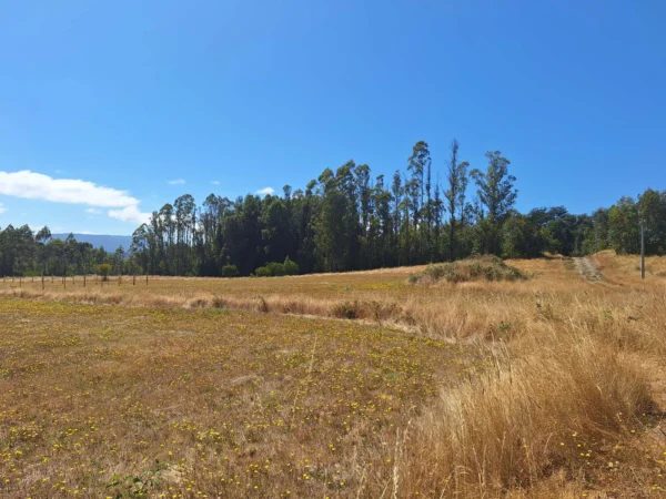 parque nativo sector huaqui $30.000.000 opción de crédito directo
