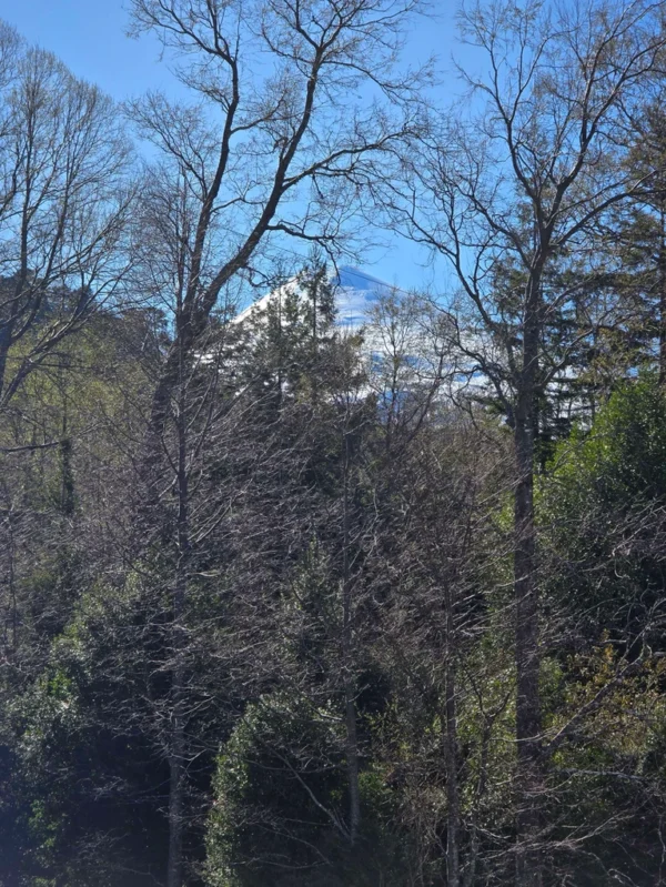 parcelas pino huacho lican ray