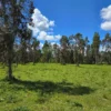 fundo ancahual villarrica loncoche fundo ancahual villarrica loncoche
