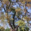 parcelas en relún a 15 km de villarrica
