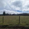 a 20 min de villarrica parcelas con luz, agua y cercadas a 20 min de villarrica parcelas con luz, agua y cercadas